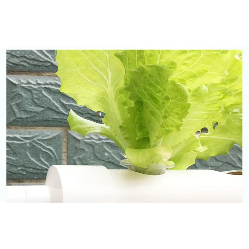 Easy Installation 36 Holes PVC - огляд і ціна Hydroponic Nft Channel