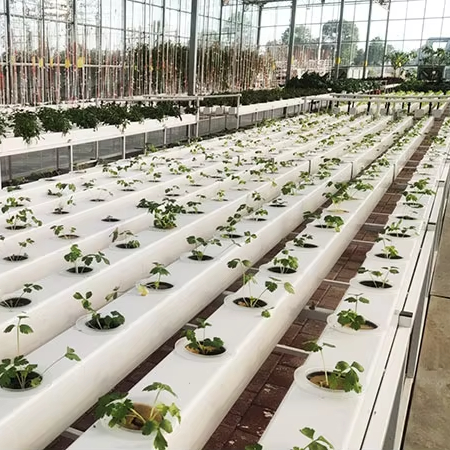 Commercial Hydroponics Plant S - огляд і ціна Hydroponic Nft Channel