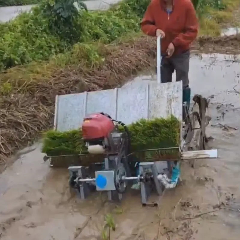 4-Row Manual Agricultural Equi - огляд і ціна Agriculture Farming Rice